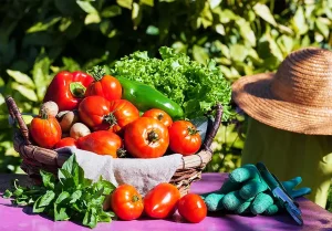 Najczęściej popełniane błędy w uprawie warzyw przez początkujących ogrodników