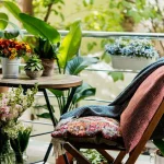 Najlepsze rośliny na słoneczny, południowy balkon