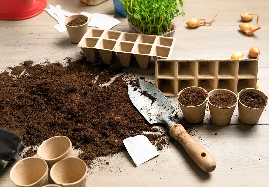 Jak prawidłowo przygotować glebę pod rozsady