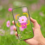 Nie wiesz, co to za roślina? Poznaj aplikacje do rozpoznawania roślin