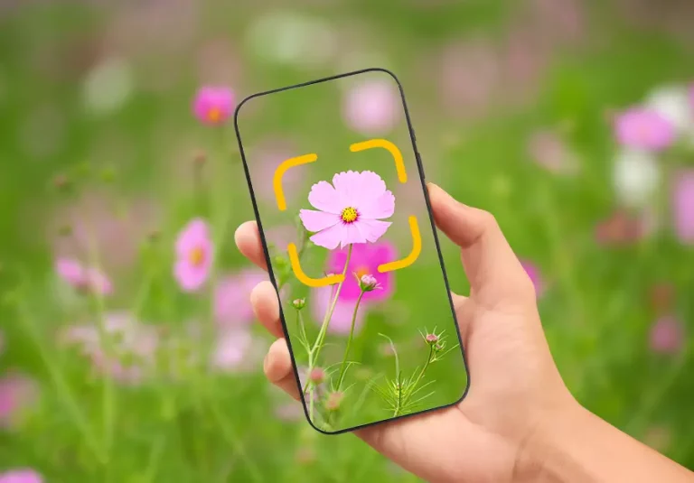 Nie wiesz, co to za roślina? Poznaj aplikacje do rozpoznawania roślin