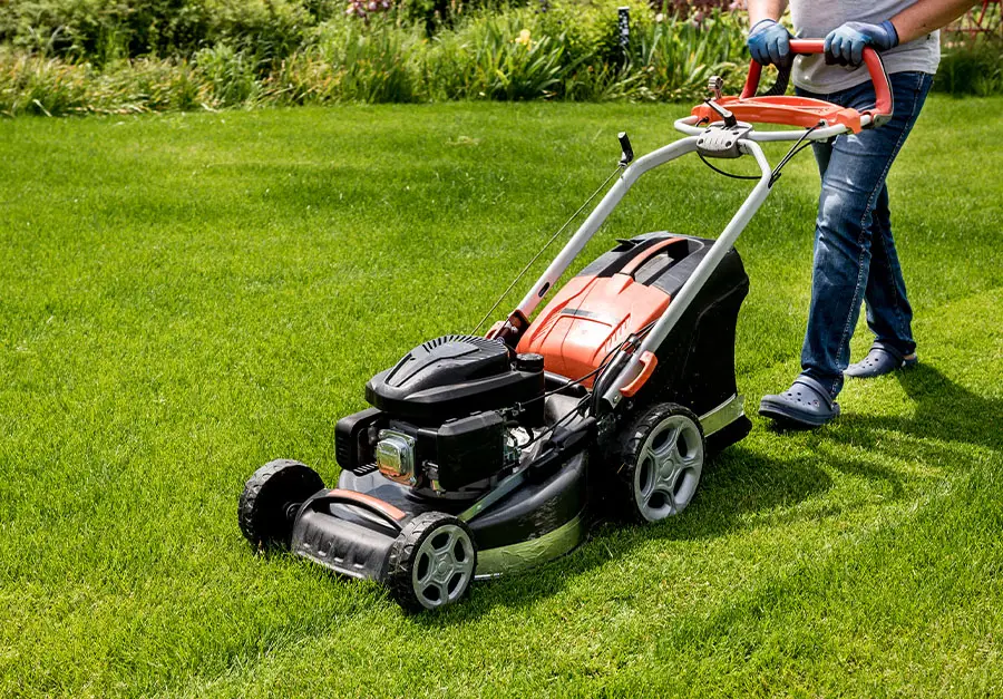 Najlepsza kosiarka do trawy? Ranking TOP 10 najczęściej wybieranych kosiarek spalinowych