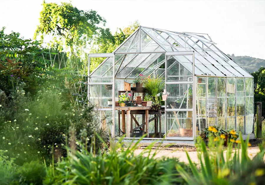 Ranking TOP 10 najczęściej wybieranych szklarni do ogrodu