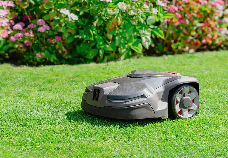 Jaki jest najlepszy robot do trawy? Ranking TOP 10 najczęściej polecanych modeli